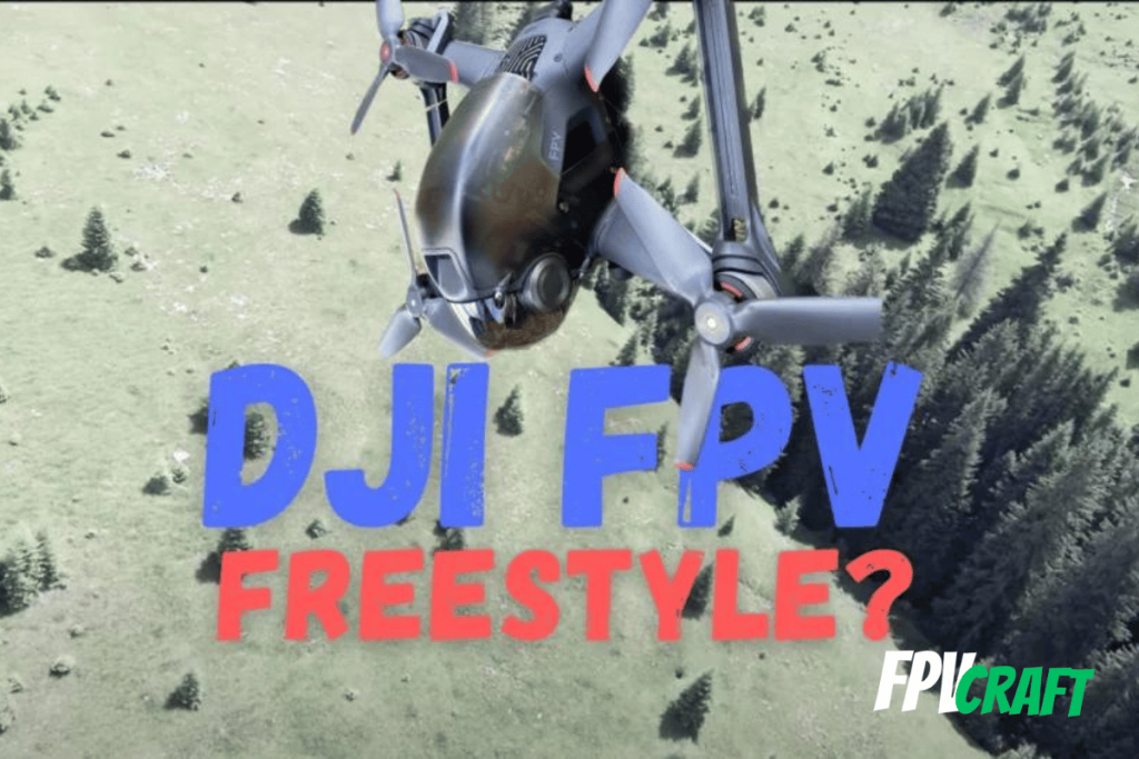 visual representation of freestyle with DJI FPV drone