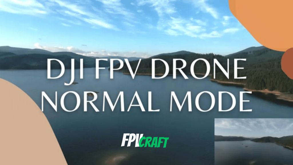 An image captured from flying the DJI FPV drone in normal mode.